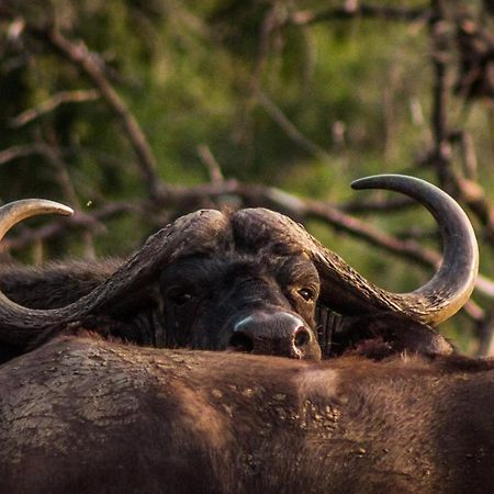 Mpeti Lodge Mkuze Dış mekan fotoğraf